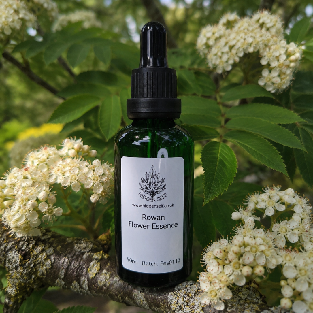Rowan Tree Essence