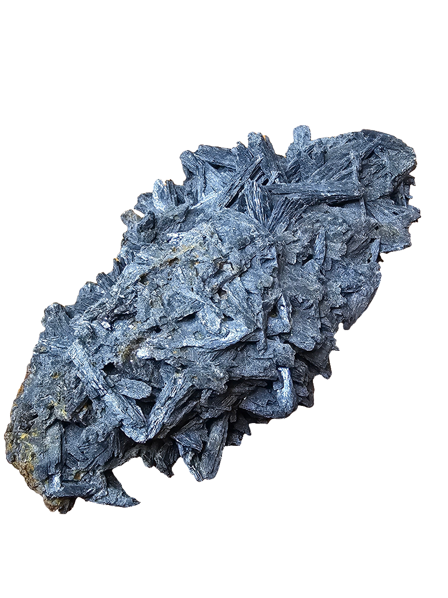 Large Black Specimen Specimen