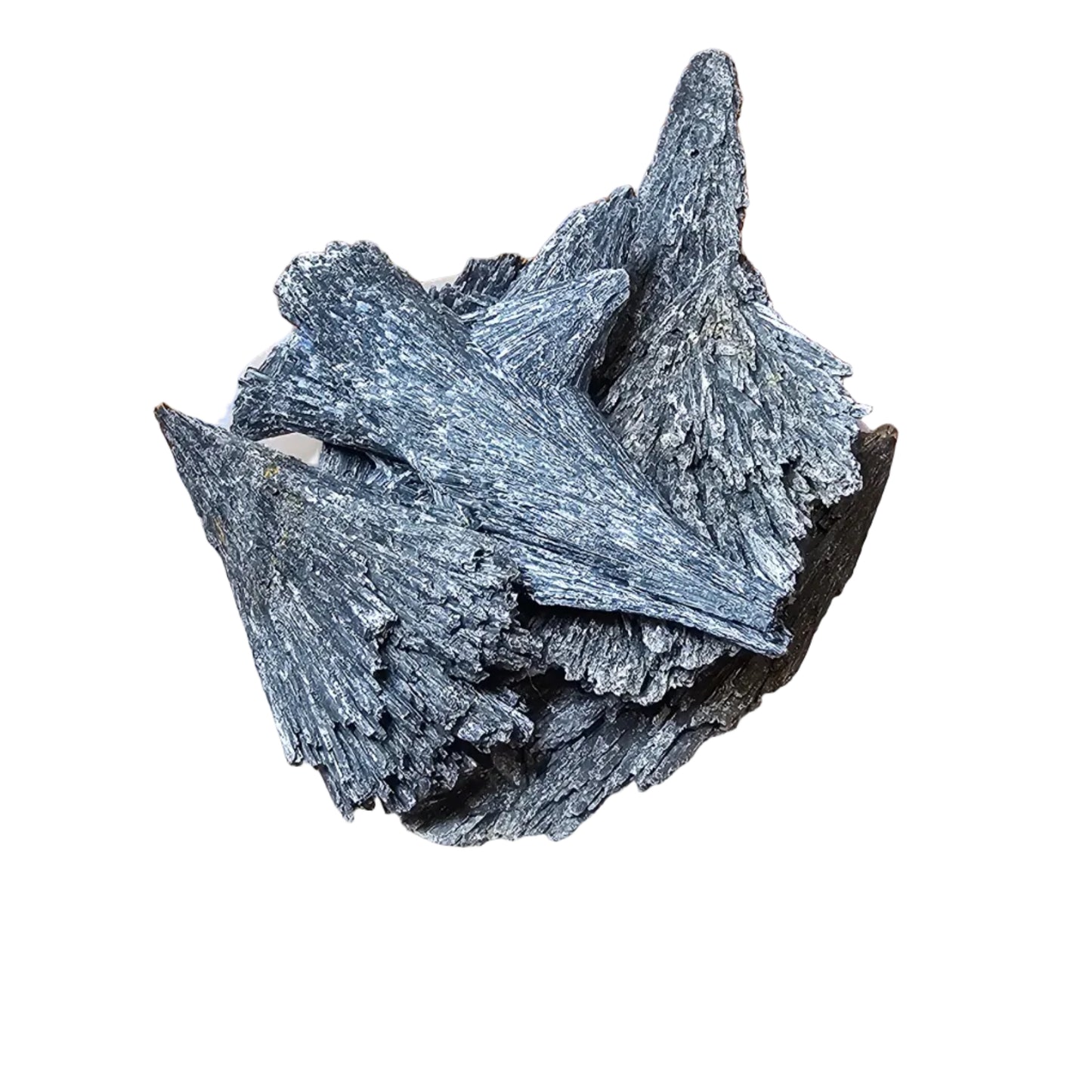 Black Kyanite Pieces