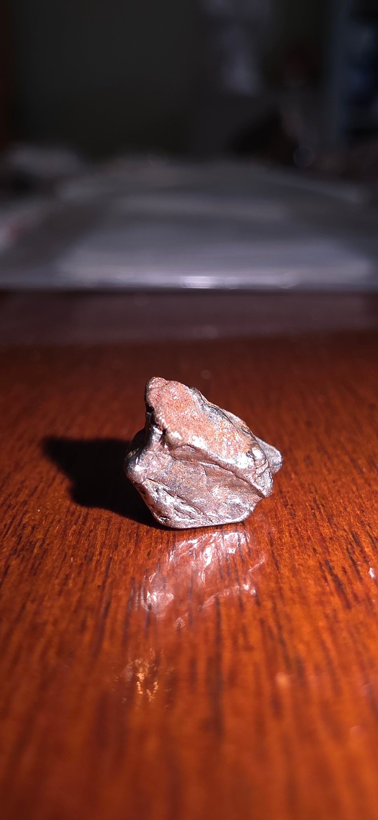 Meteorite - Campo Del Cielo