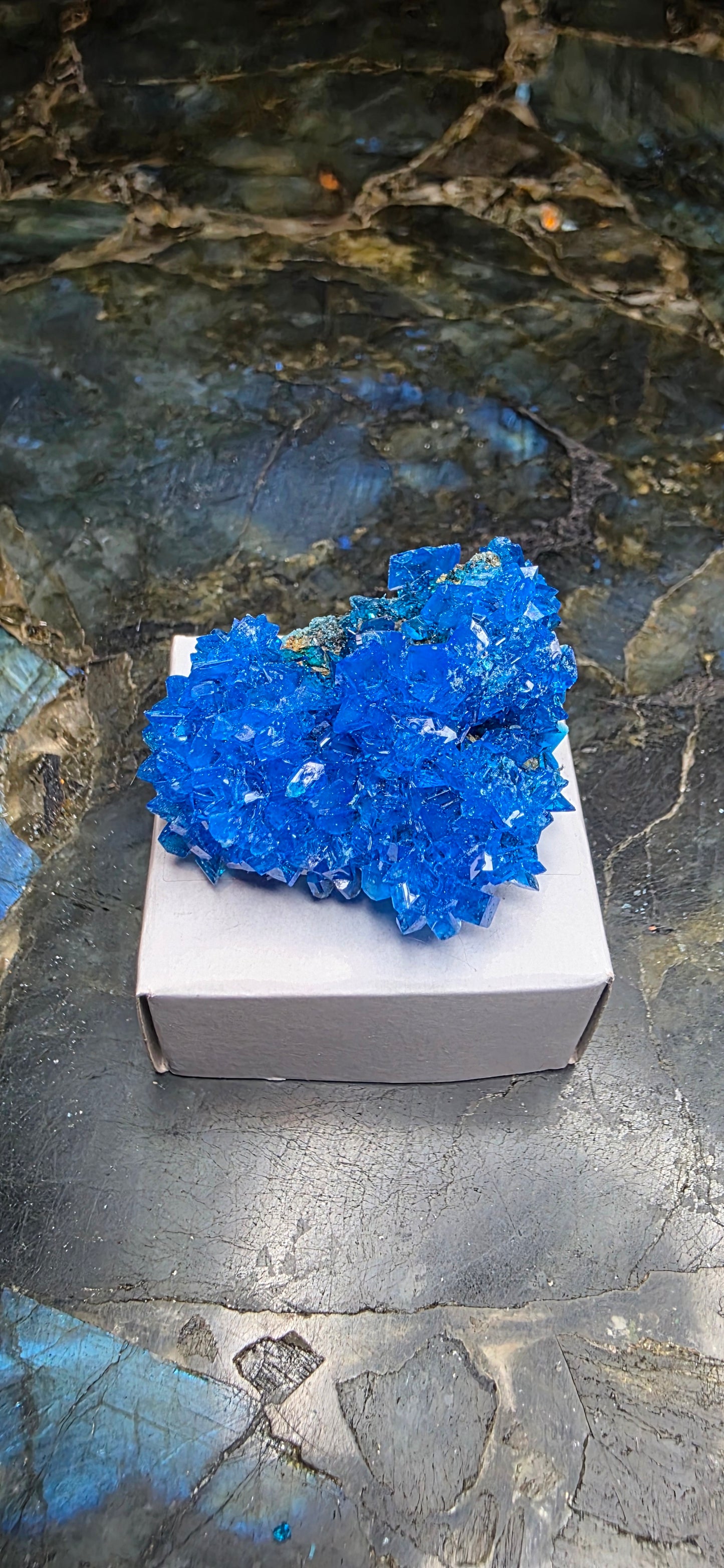 Chalcanthite Specimen