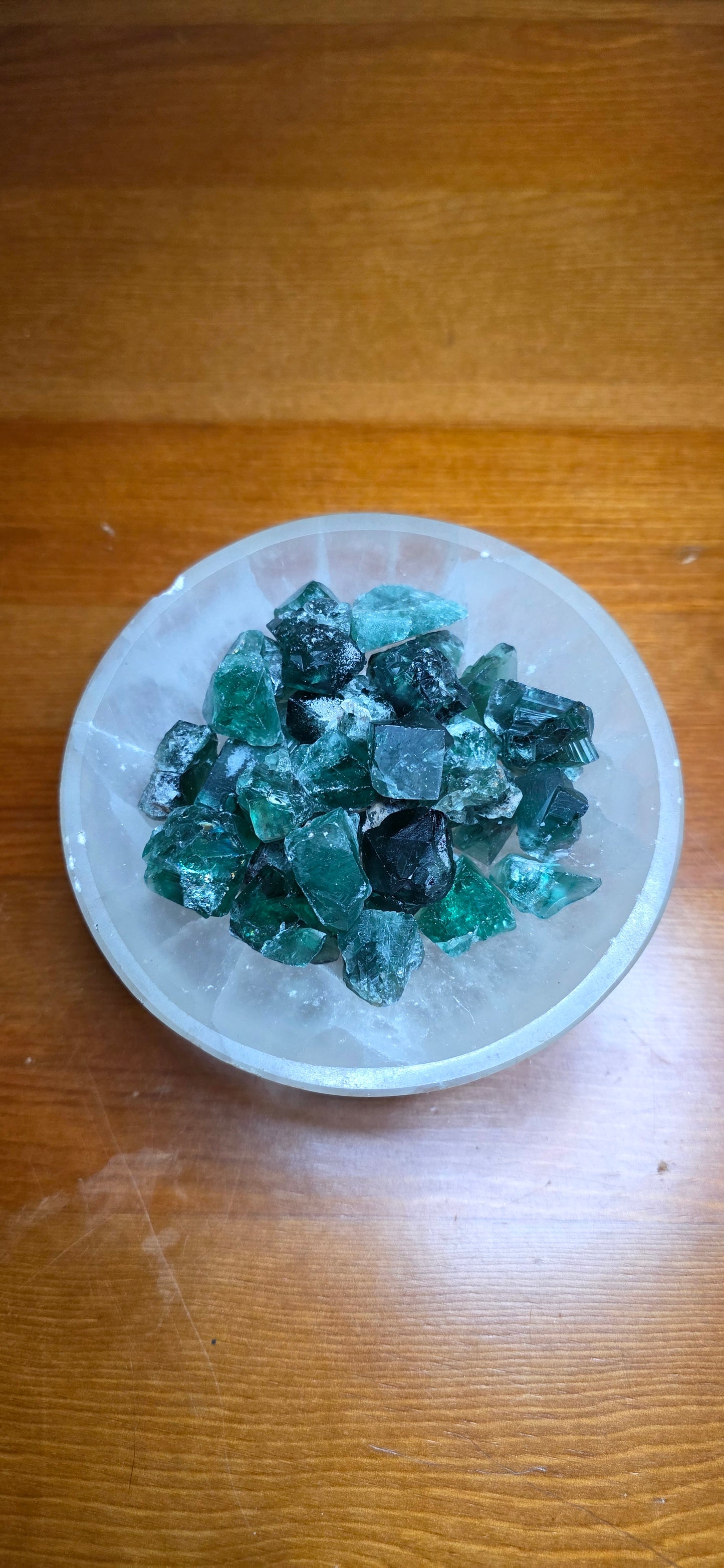 Greedy Hog Pocket - Fluorite
