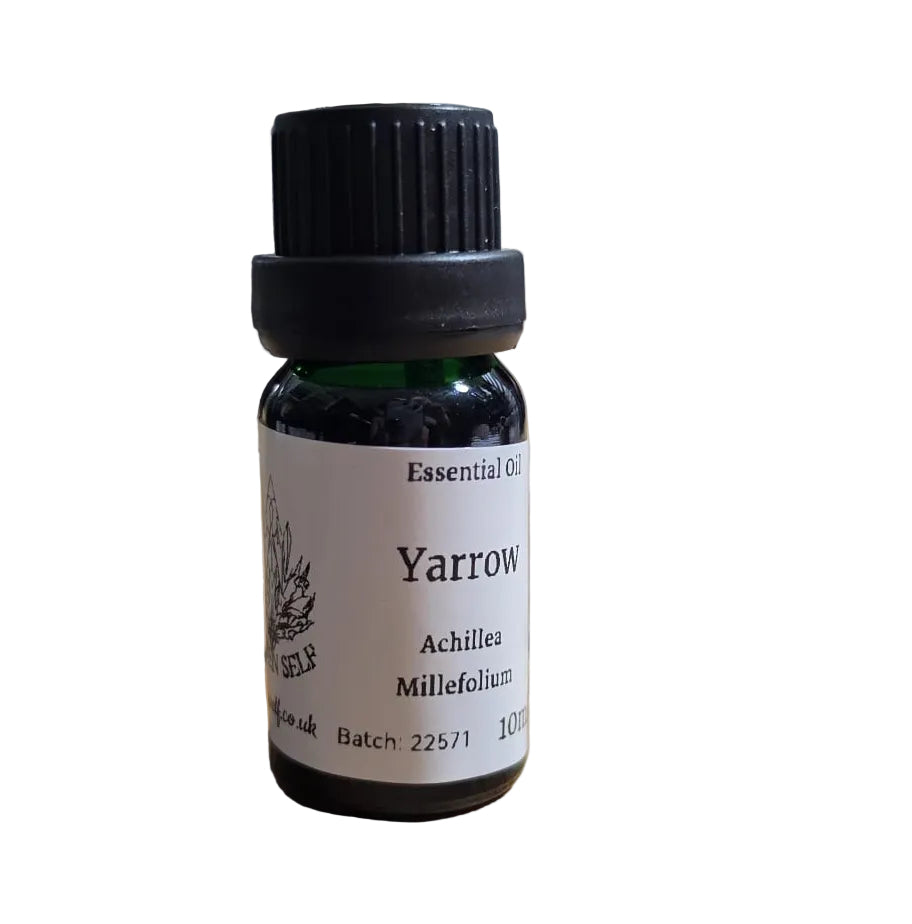 Yarrow Essential Oil