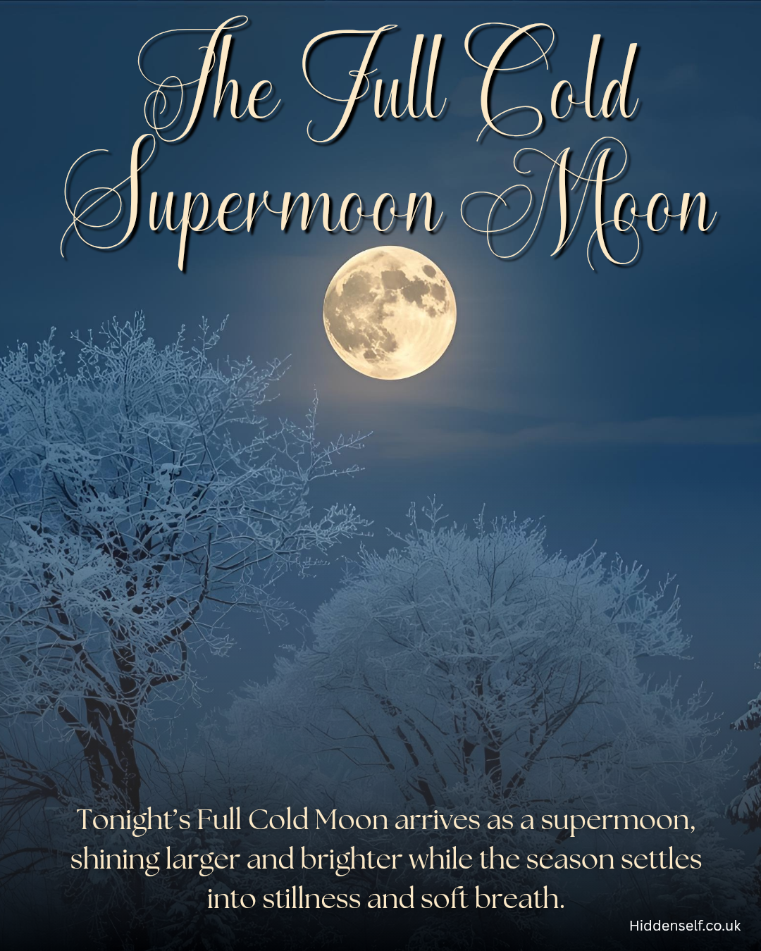 The Cold Moon Supermoon: A Winter Portal of Reflection and Release