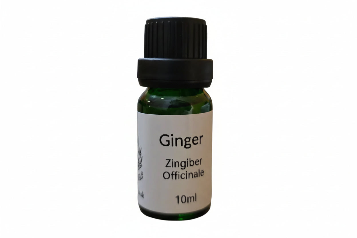 Ginger Essential Oil