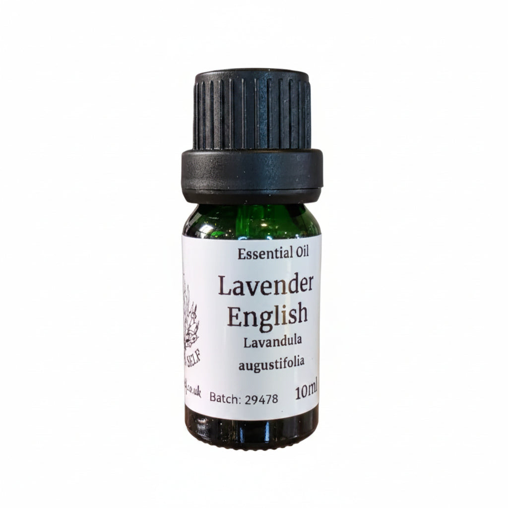 Lavender (English) Essential Oil
