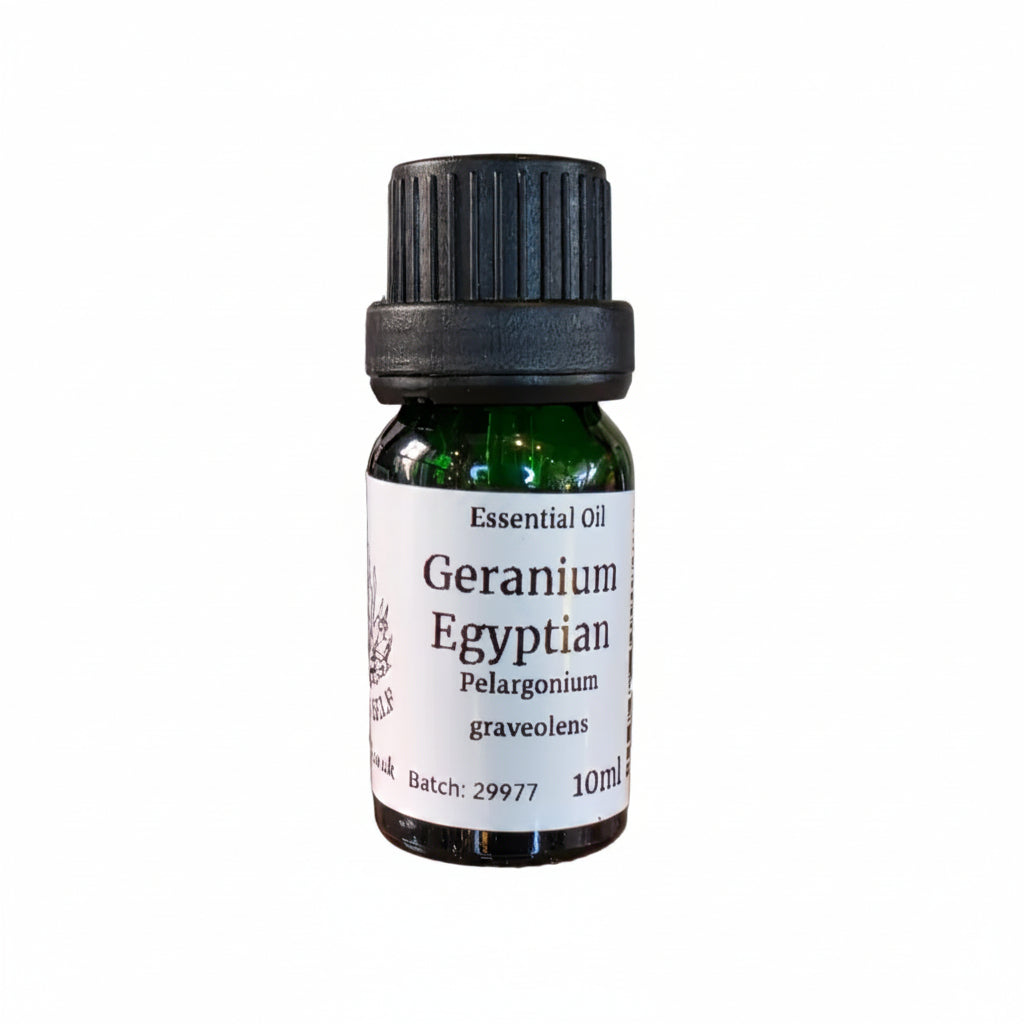 Geranium (Egyptian) Essential Oil
