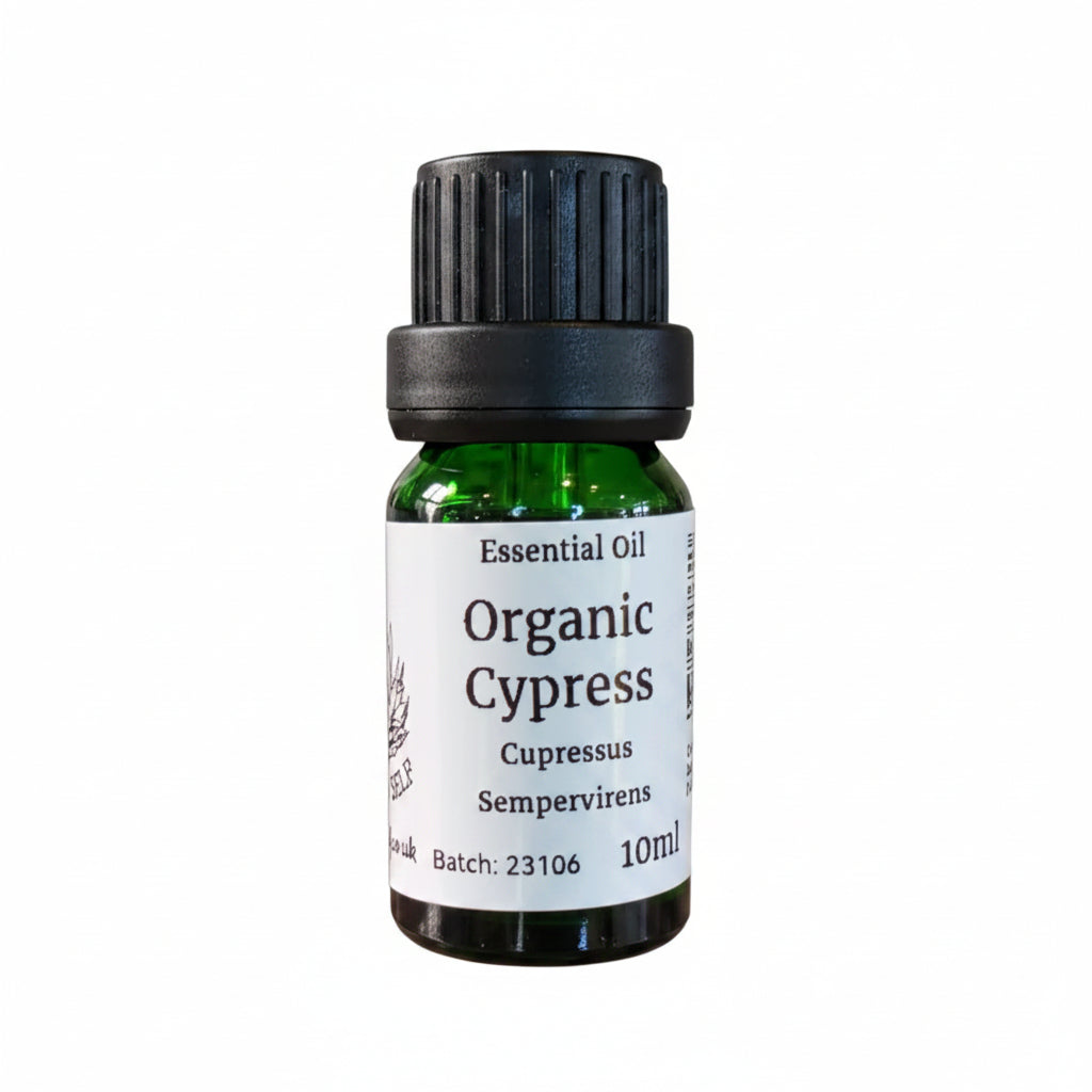 Cypress  Organic Essential Oil