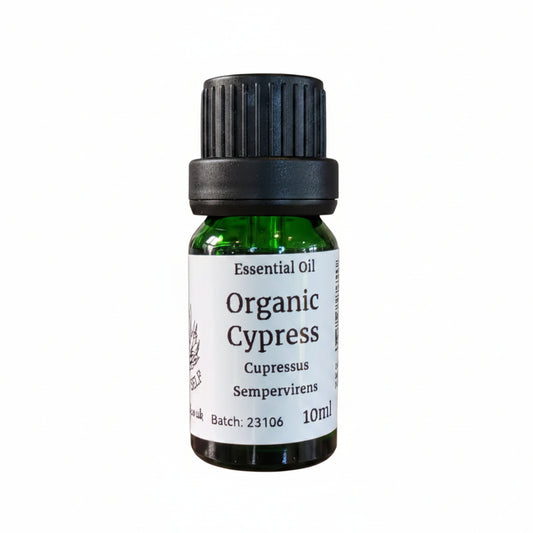 Cypress  Organic Essential Oil
