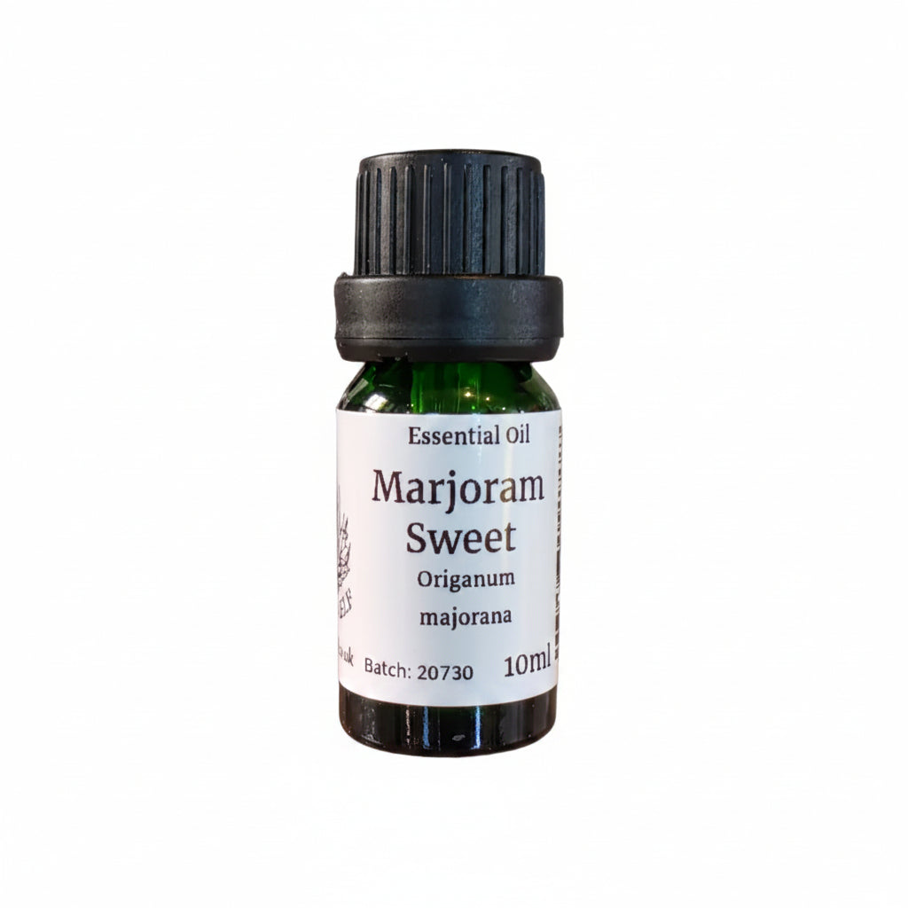 Marjoram Sweet Essential Oil