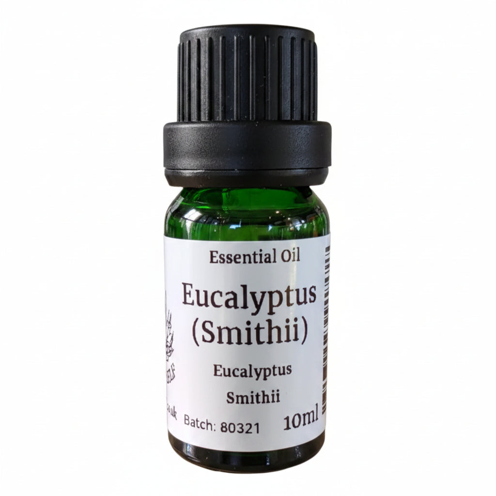 Eucalyptus (Smithii) Essential Oil