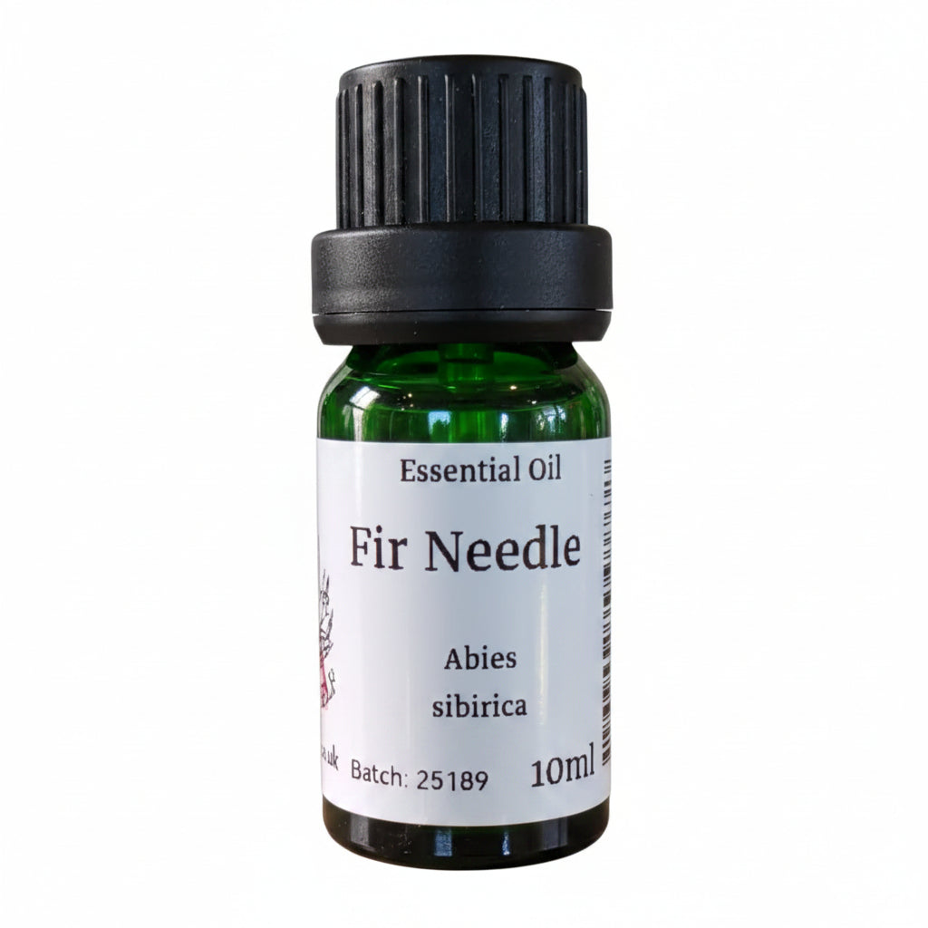 Fir Needle Essential Oil