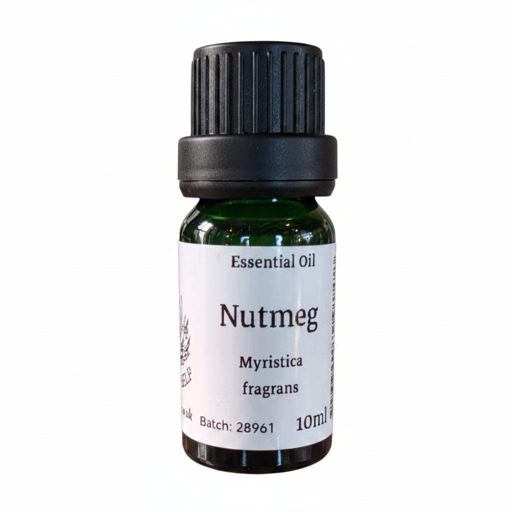 Nutmeg Essential Oil