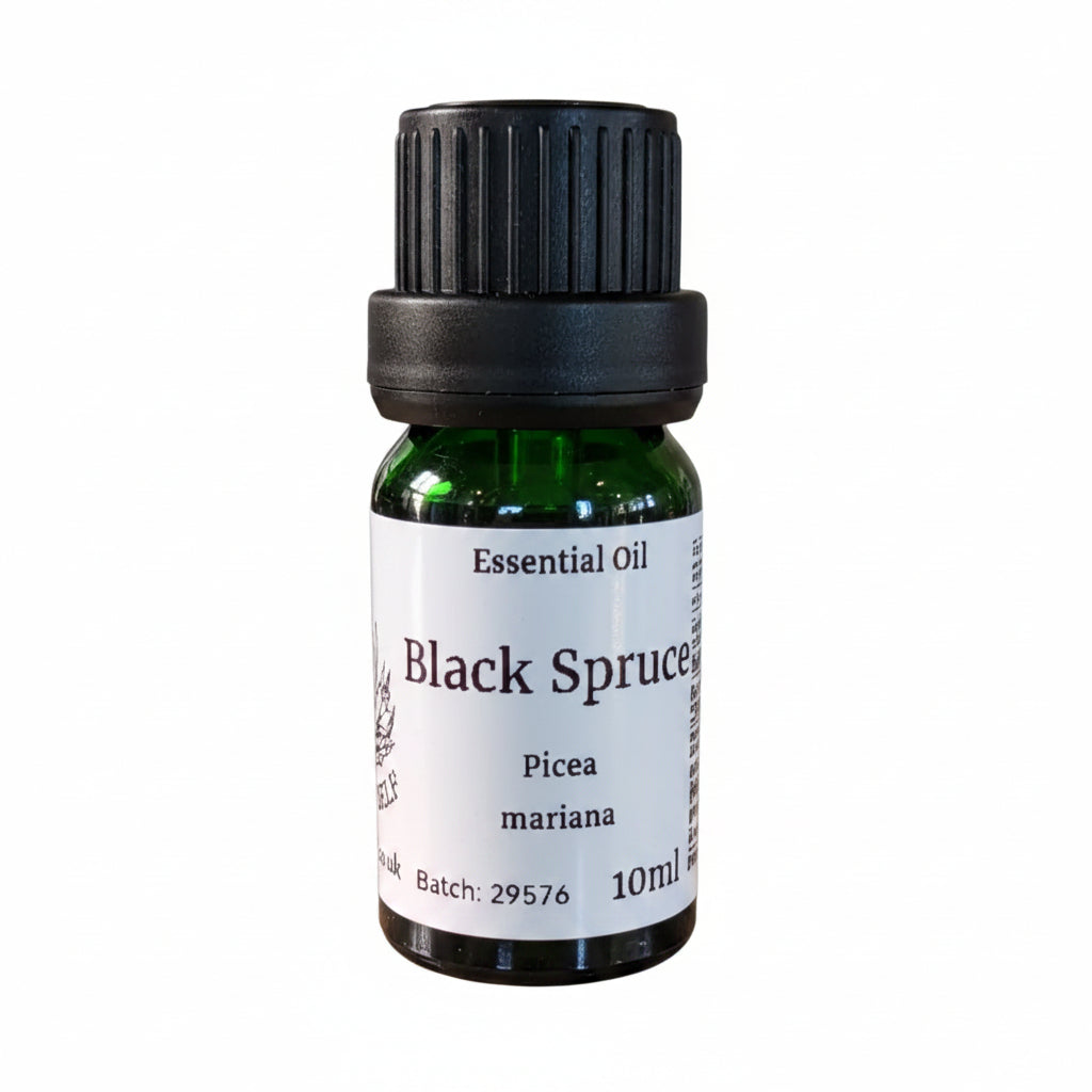 Black Spruce Essential Oil