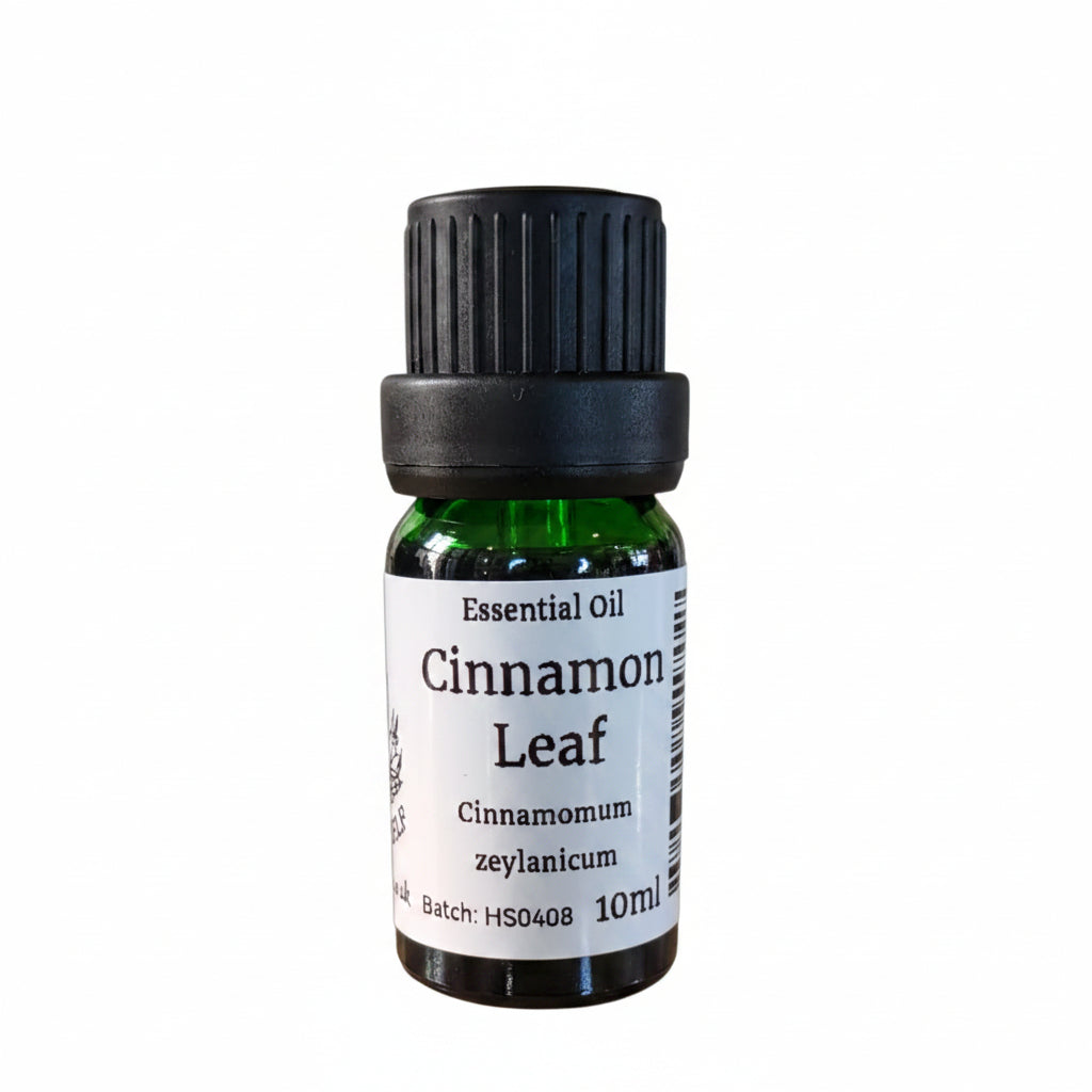 Cinnamon Leaf Essential Oil