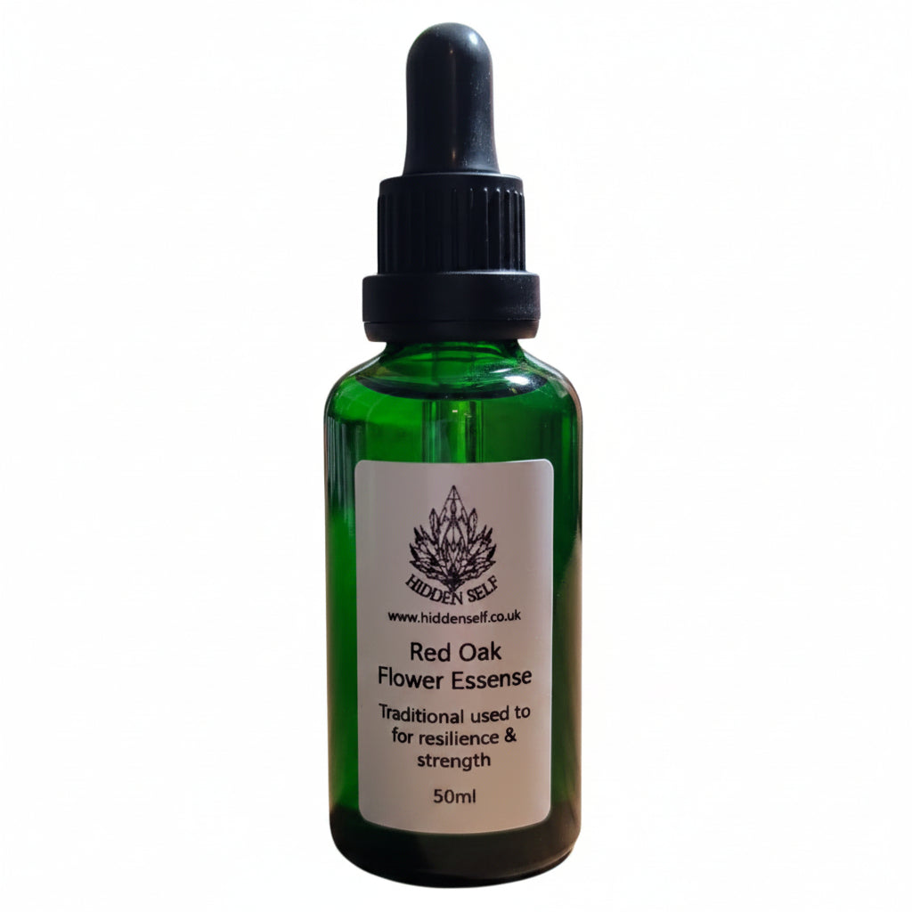 Red Oak Tree Essence