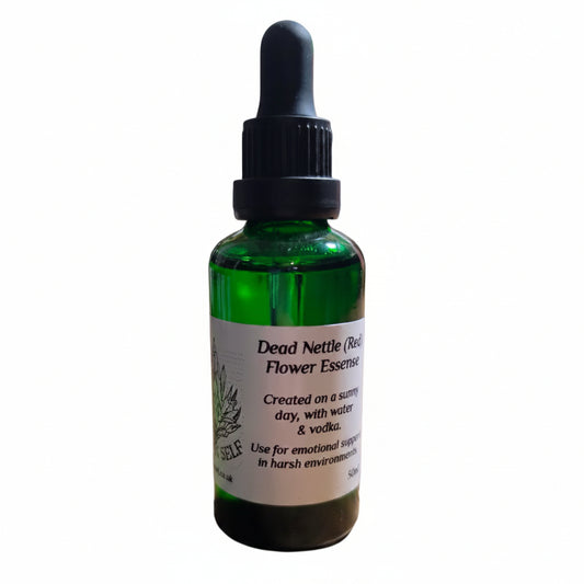 Dead Nettle (Red) Flower Essence