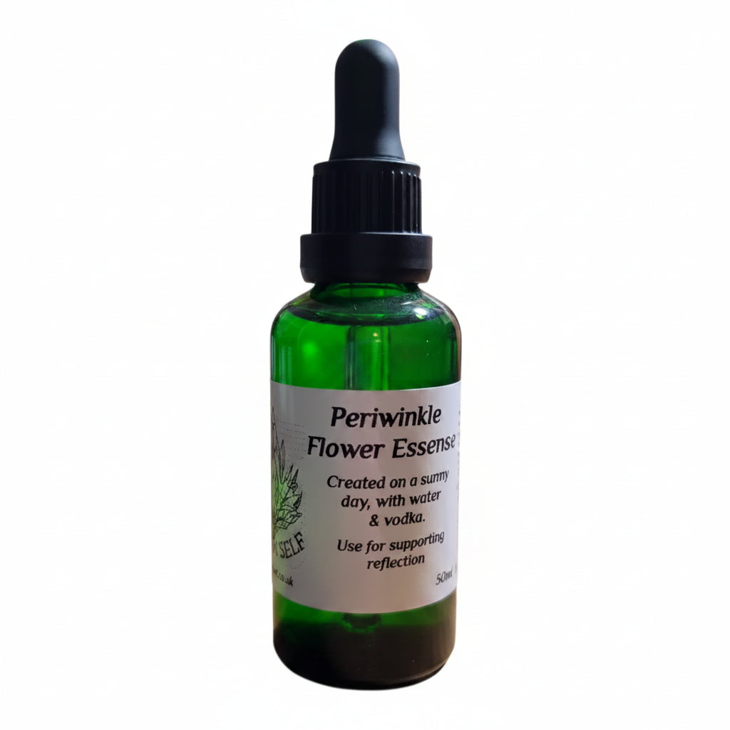 Periwinkle Flower Essence