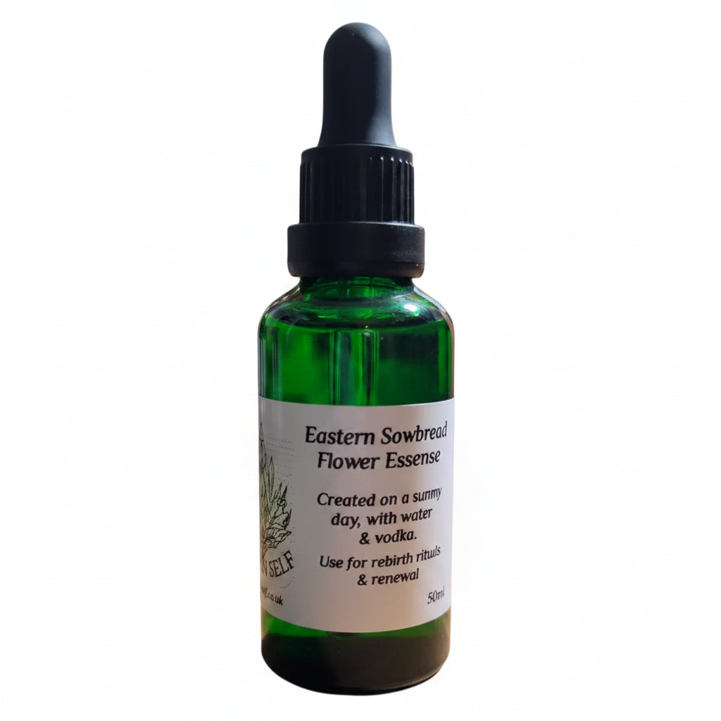 Eastern Sowbread Flower Essence