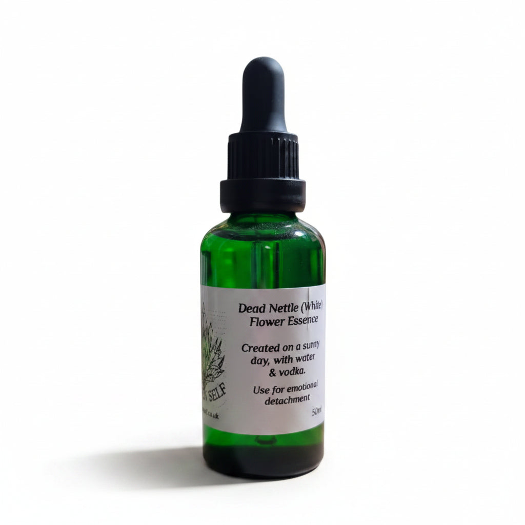 Dead Nettle (White) Flower Essence