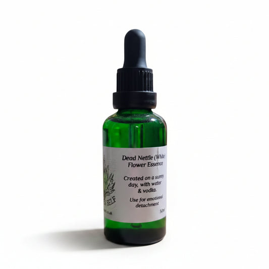 Dead Nettle (White) Flower Essence