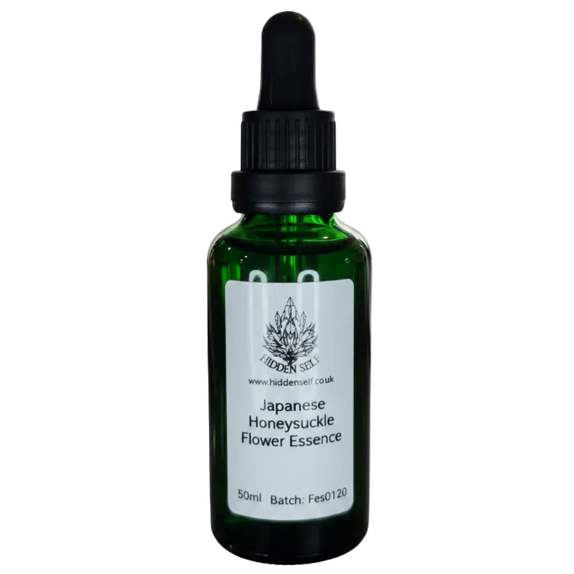 Japanese Honeysuckle Flower Essence