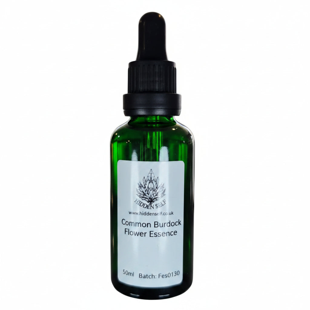 Common Burdock Flower Essence