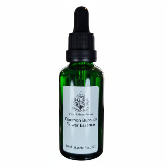 Common Burdock Flower Essence