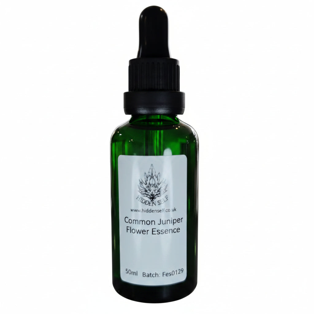 Common Juniper Tree Essence