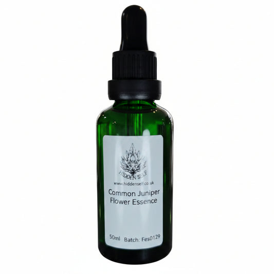 Common Juniper Tree Essence