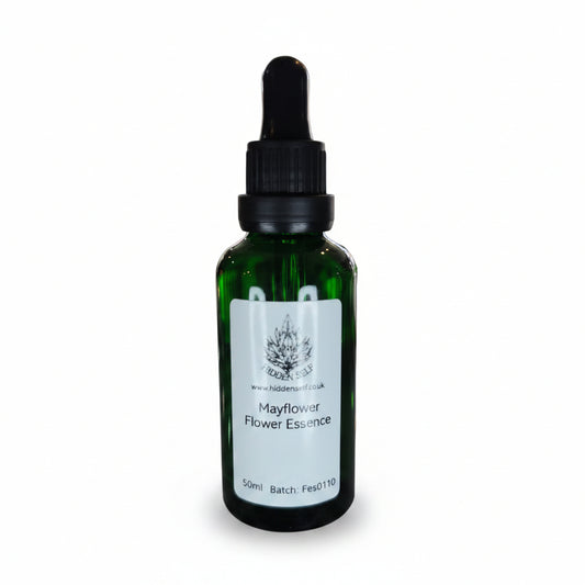 Mayflower Flower Essence