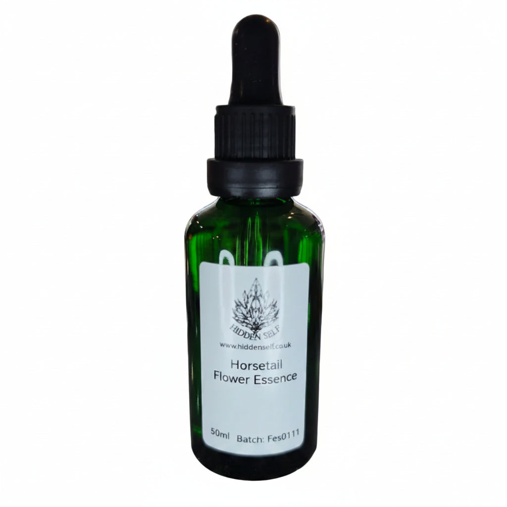 Horsetail Flower Essence