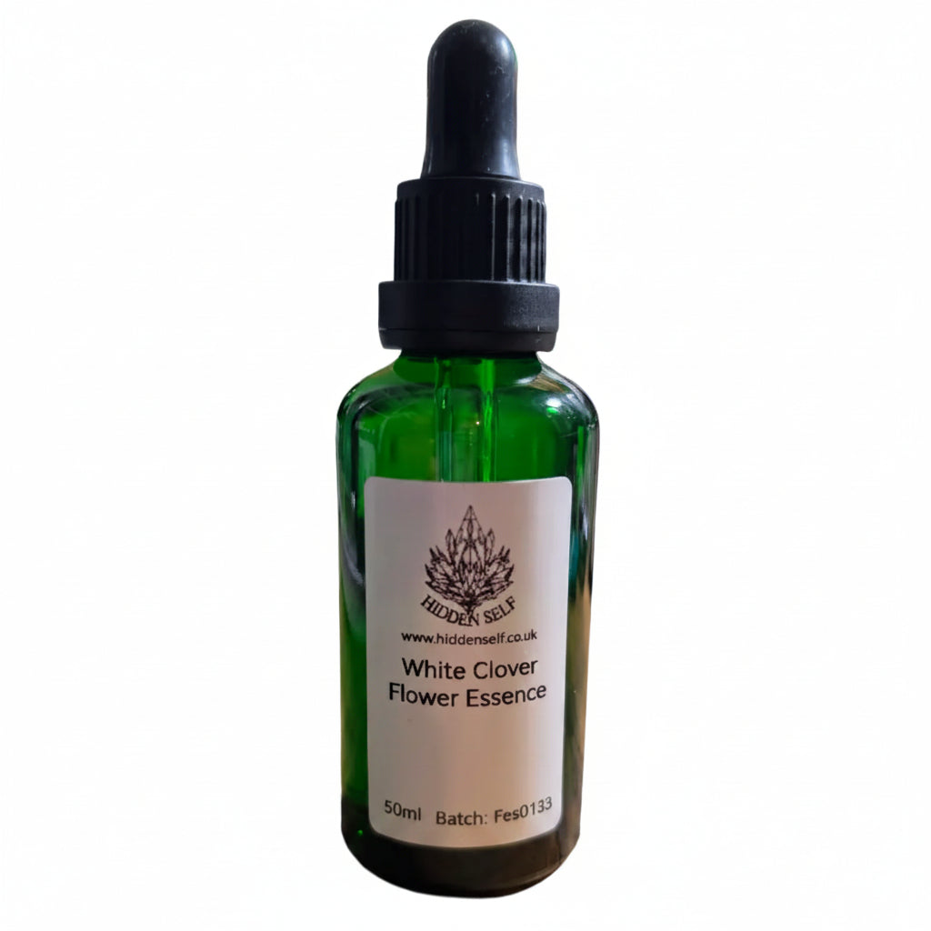 White Clover Flower Essence