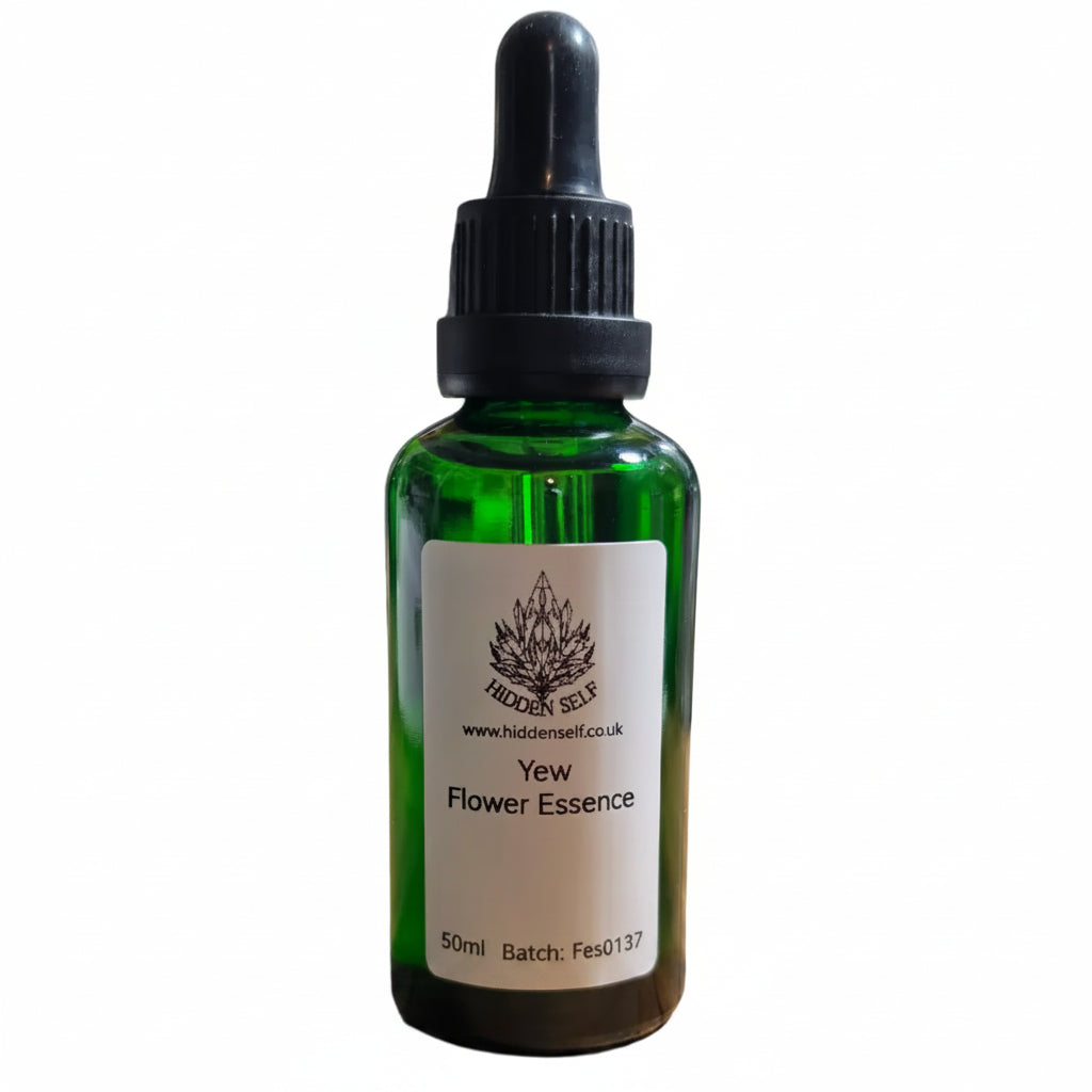 Yew Tree Essence