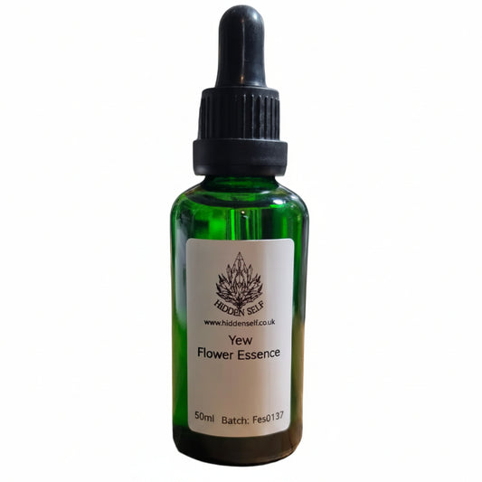 Yew Tree Essence