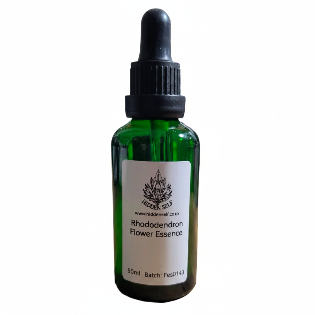 Rhododendron Flower Essence