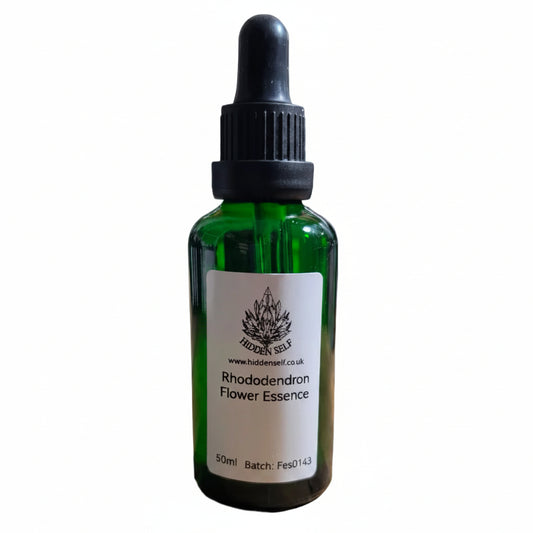 Rhododendron Flower Essence