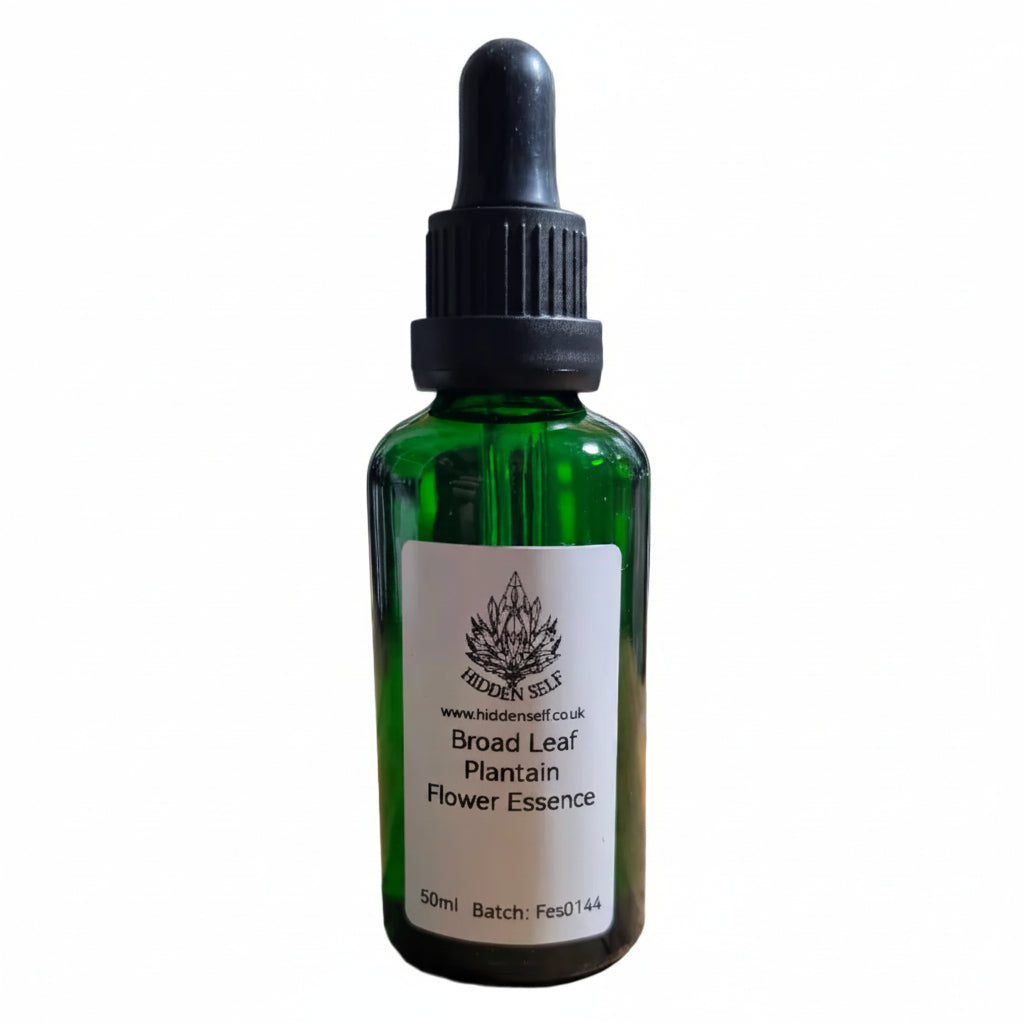 Broad Leaf Plantain Flower Essence