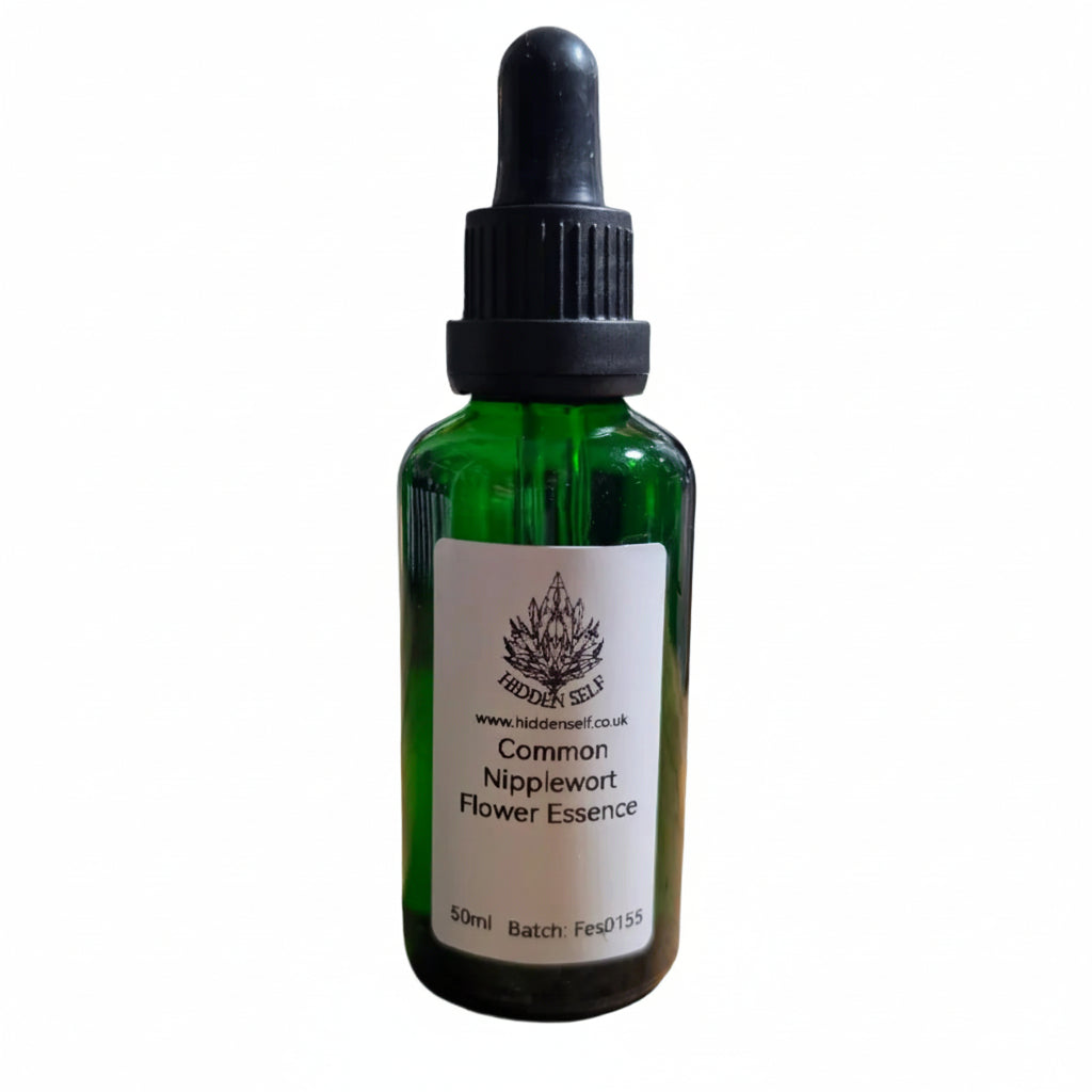 Common Nipplewort Flower Essence
