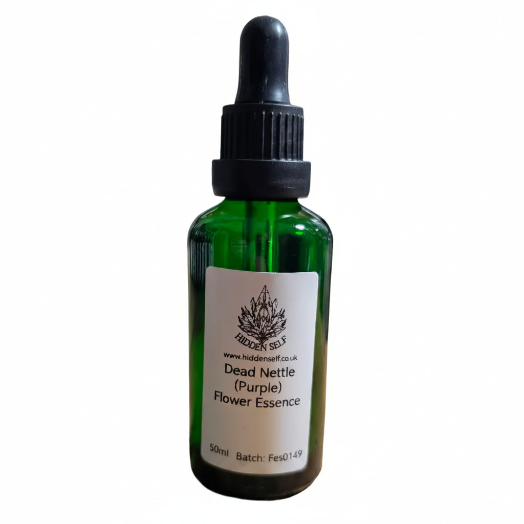 Dead Nettle (Purple) Flower Essence