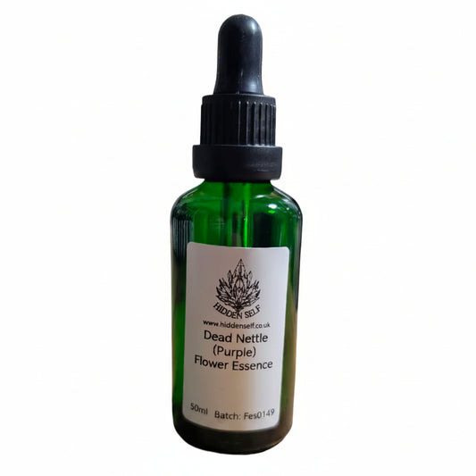 Dead Nettle (Purple) Flower Essence