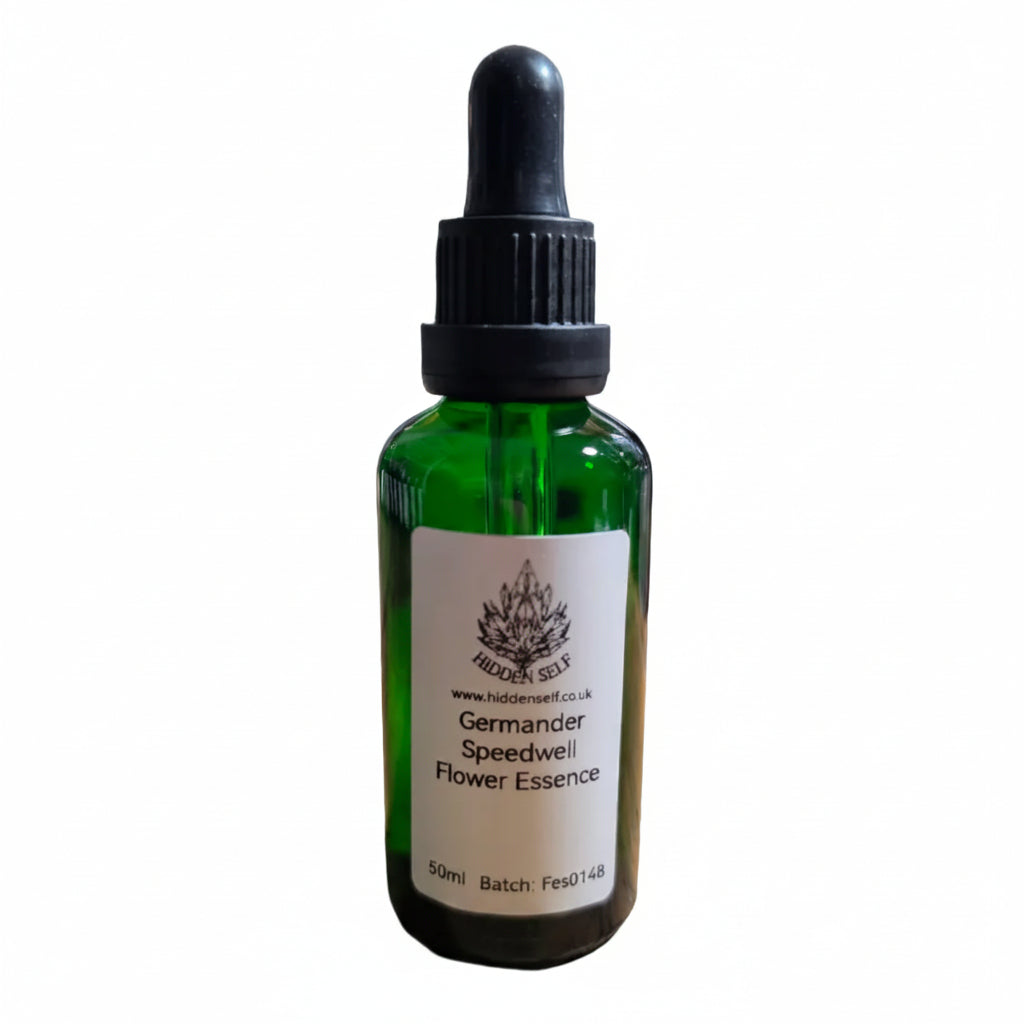 Germander Speedwell Flower Essence