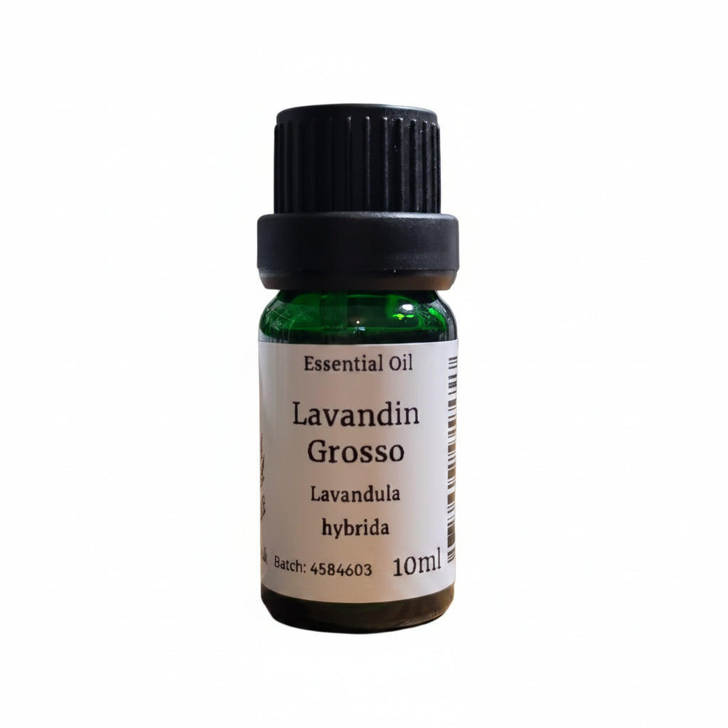 Lavandin Grosso Essential Oil