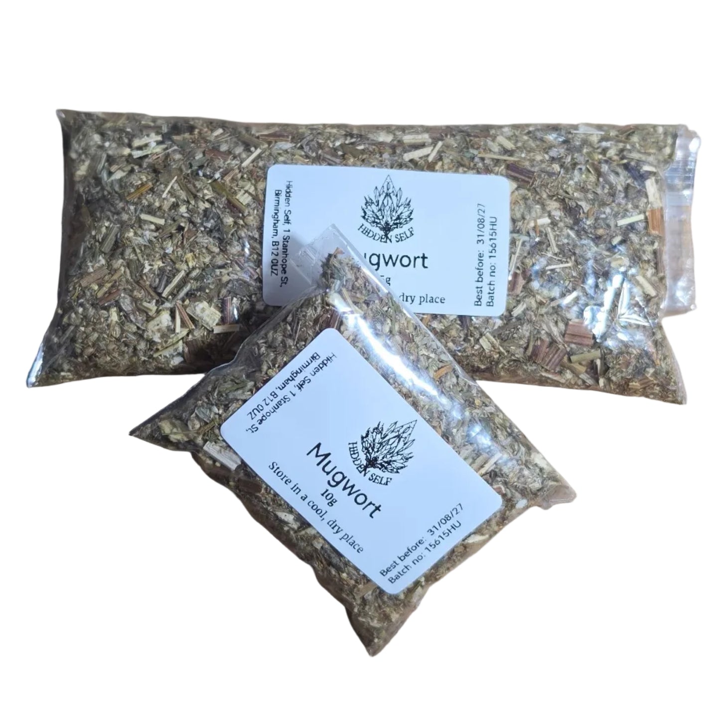 Mugwort (Artemisia vulgaris)