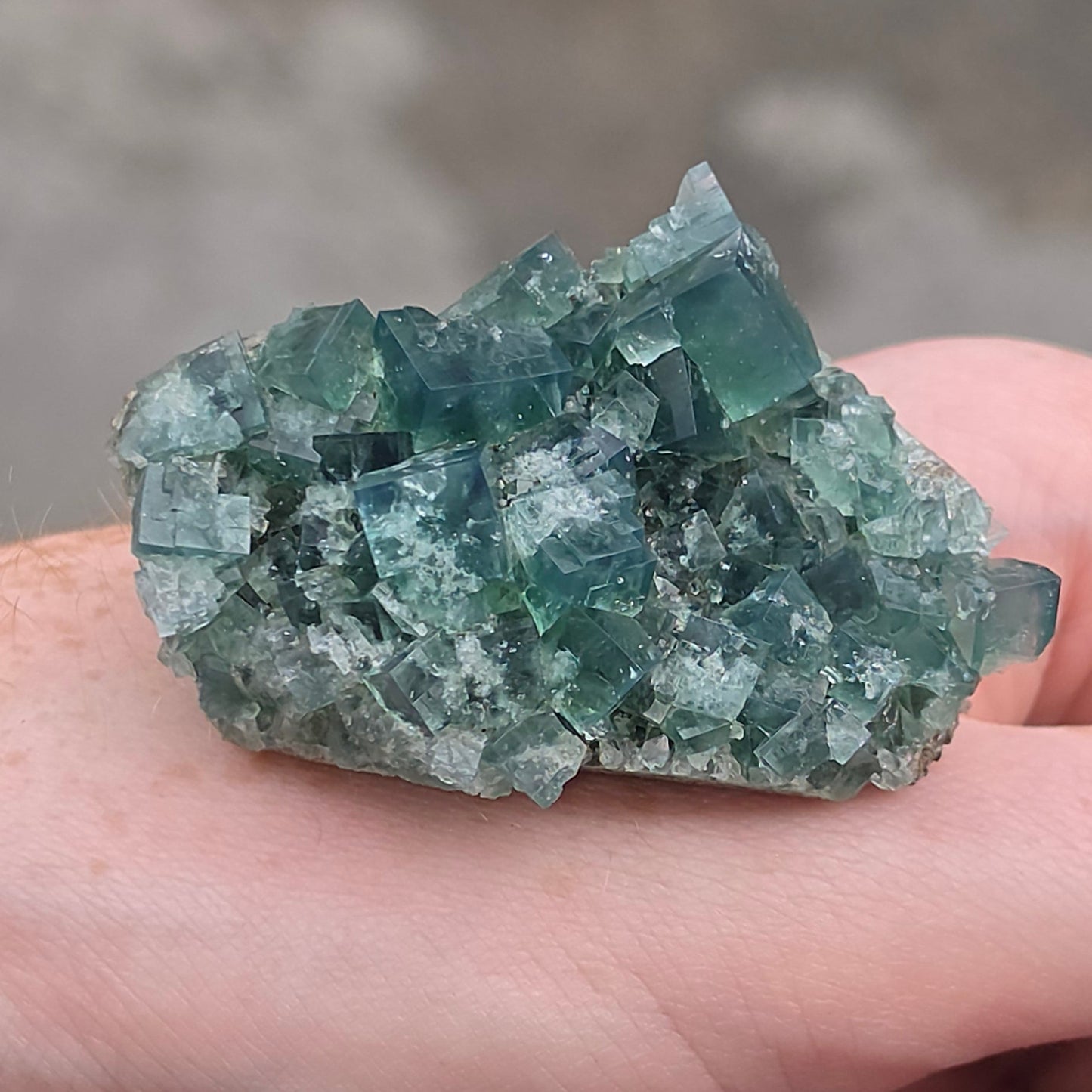 PJ Pocket / Pyjama Pocket Fluorite Specimen Flat – Diana Maria Mine