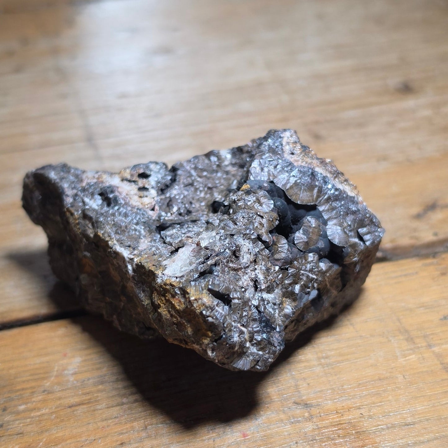 Goethite, 'Wood Iron' – Restormel Royal Iron Mine, Lostwithiel, Cornwall, England, UK