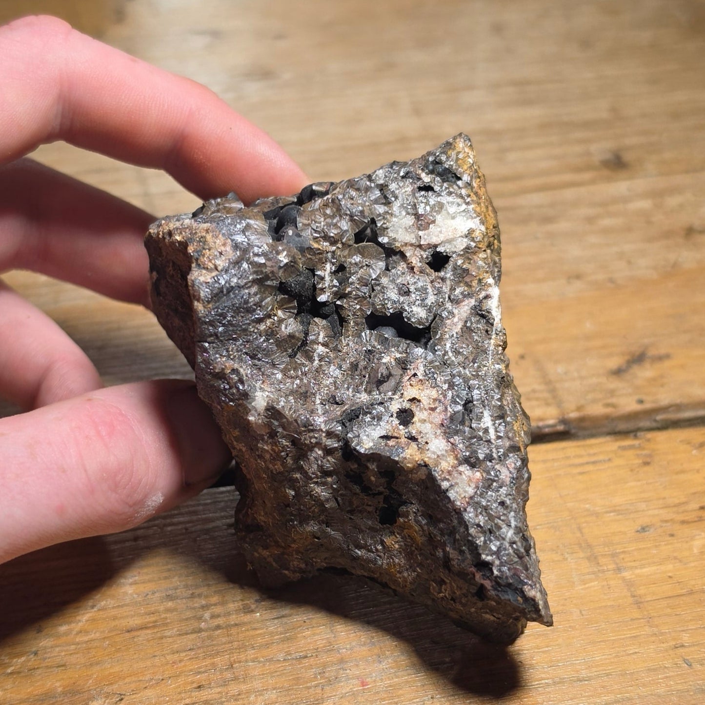 Goethite, 'Wood Iron' – Restormel Royal Iron Mine, Lostwithiel, Cornwall, England, UK