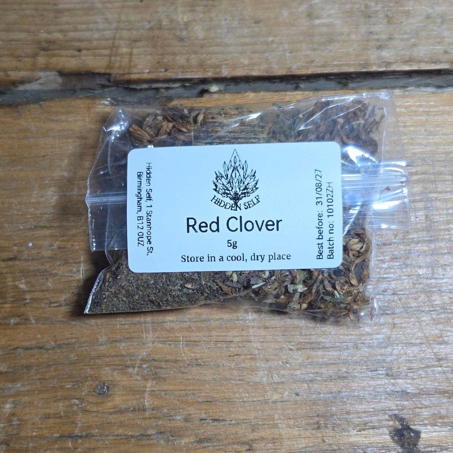 Red Clover (Trifolium pratense)