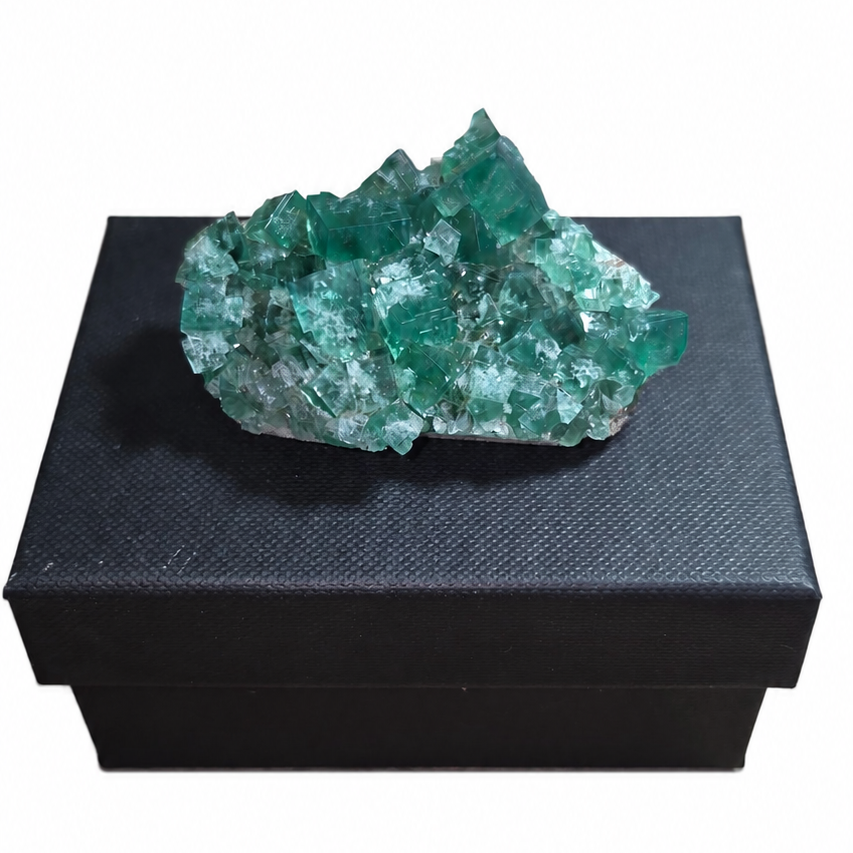 PJ Pocket / Pyjama Pocket Fluorite Specimen Flat – Diana Maria Mine