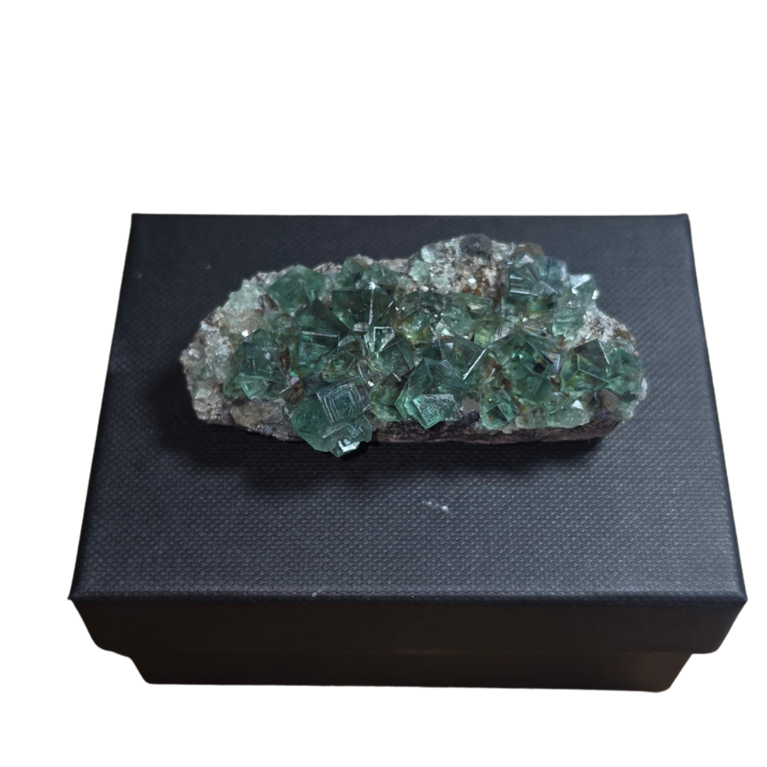 PJ Pocket / Pyjama Pocket Fluorite Specimen Flat – Diana Maria Mine
